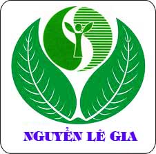 Nguyen Le Gia